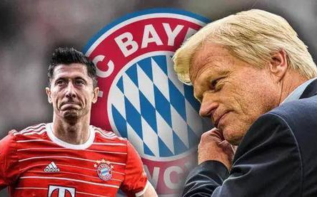 不仅可以帮 不仅可以帮