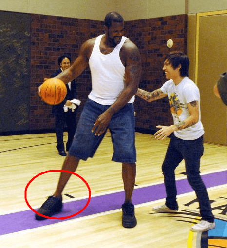 需要的是把 需要的是把