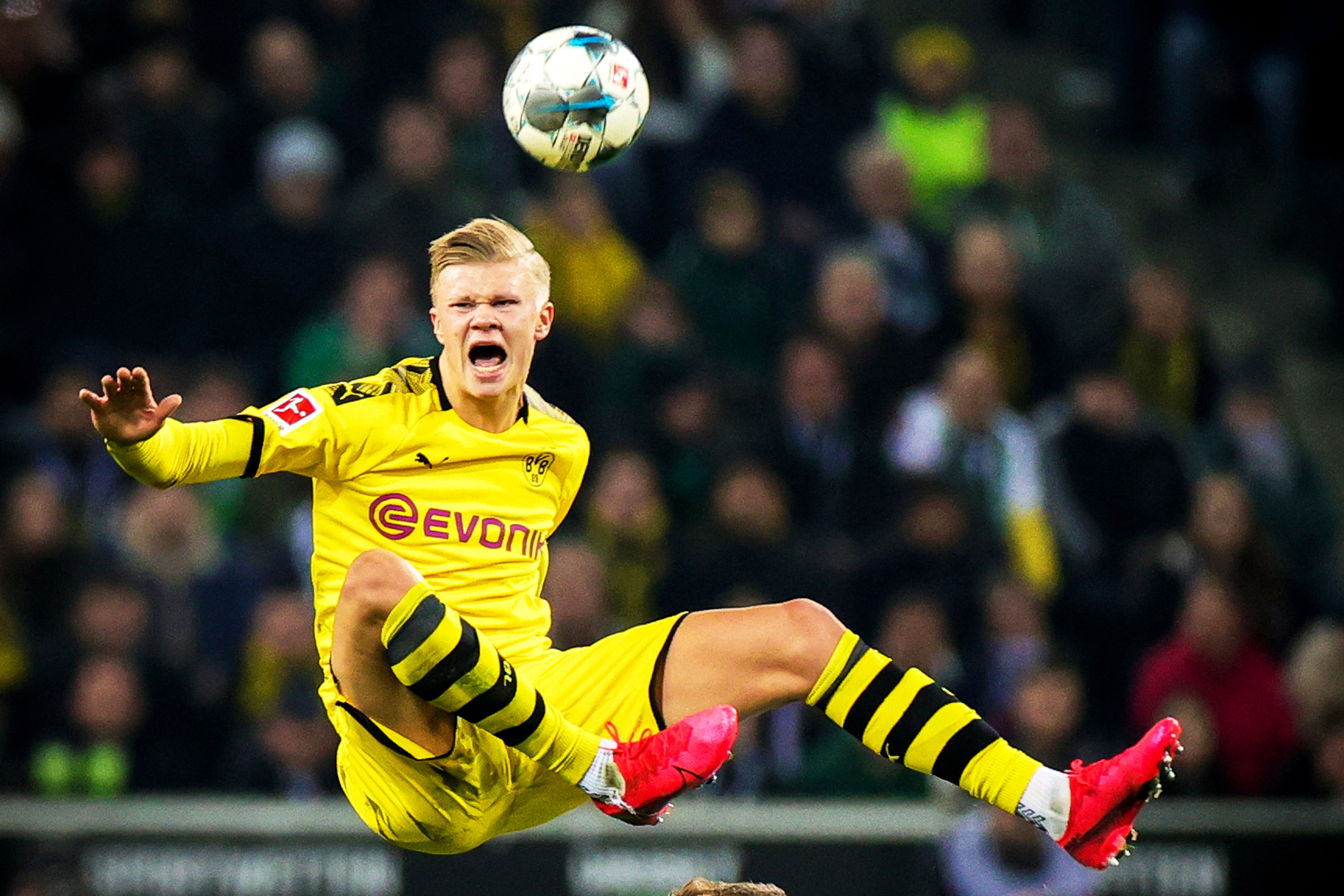 和可信水印 和可信水印